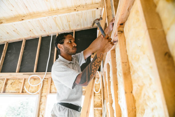 Best Best Insulation Companies  in Horatio, AR