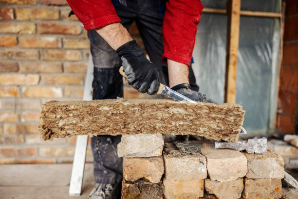 Best Attic Insulation Installation  in Horatio, AR